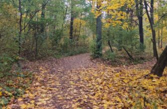 Сухо, сонячно, але холодно: синоптики попередили про погоду в Україні на завтра