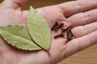 Суміш лаврового листа та гвоздики: як тільки ви спробуєте цей рецепт, ви мені подякуєте.