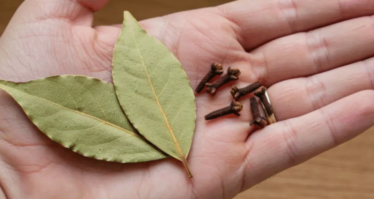 Суміш лаврового листа та гвоздики: як тільки ви спробуєте цей рецепт, ви мені подякуєте.