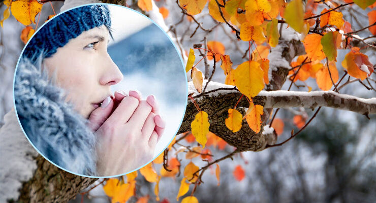 Холод вже тут: Якою буде погода 19 листопада