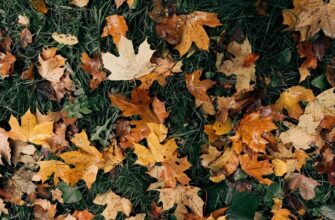 21 листопада в Україні очікується потепління: На скільки «виростуть» градуси