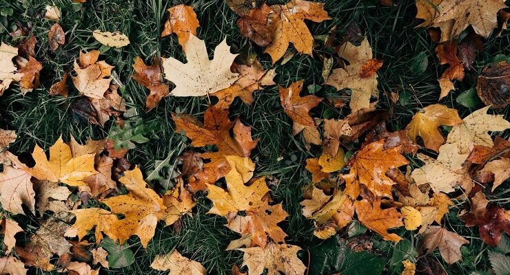 21 листопада в Україні очікується потепління: На скільки «виростуть» градуси