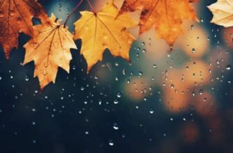 Тепліше норми, але з погодними “гойдалями”: синоптик розповіла, чого чекати в останні дні перед зимою