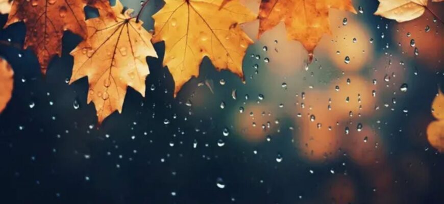 Тепліше норми, але з погодними “гойдалями”: синоптик розповіла, чого чекати в останні дні перед зимою