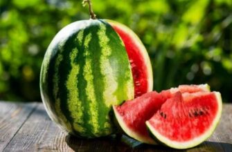 Це може здивувати! Чому у СРСР не продавали великих кавунів