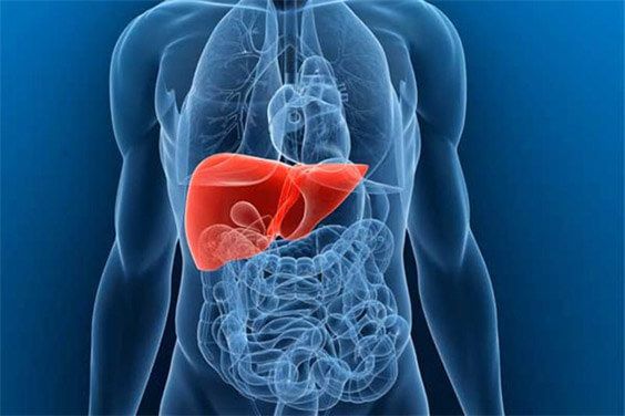 Ці симптоми не можна ігнорувати: Як зрозуміти, що печінка подає сигнали тривоги