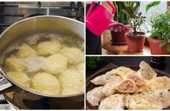 Не зливаю воду після варіння картоплі: 6 способів, як вона допомагає в домі – моя імпровізація, гідна уваги