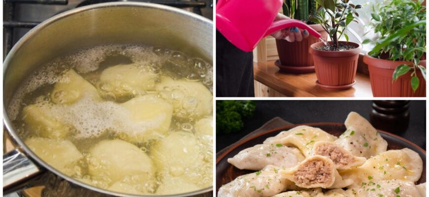 Не зливаю воду після варіння картоплі: 6 способів, як вона допомагає в домі – моя імпровізація, гідна уваги