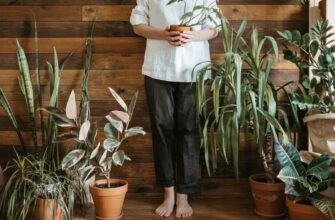 «Виснажують енергію та заважають особистому життю»: які кімнатні рослини небажано тримати вдома