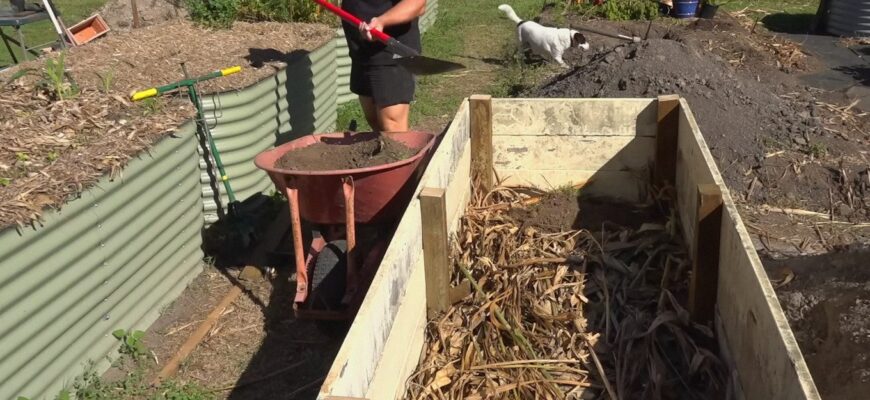 Більше не гну спину на грядках: 4 переваги високих грядок – пояснюю, як зробити їх з підручних матеріалів