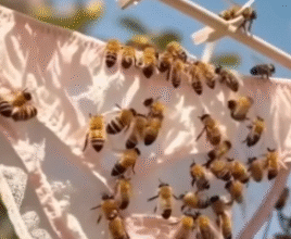 Якщо ви помітили це на своїй спідній білизні, ось що це означає