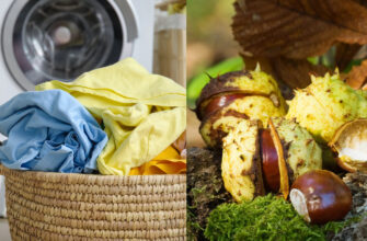 Замість порошку — кінські каштани: Простий екологічний метод прання