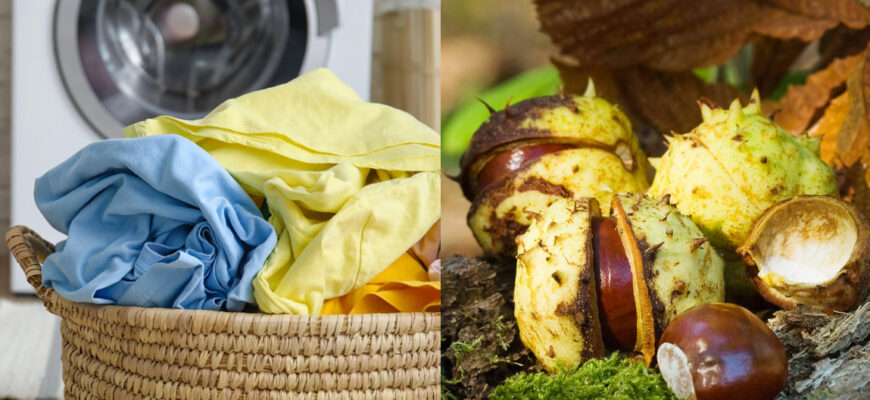 Замість порошку — кінські каштани: Простий екологічний метод прання