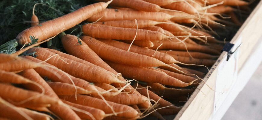 Моркву не пересипаю піском і не ховаю в погріб: ось як тримаю свіжою до весни – із 9 кг врожаю не гниє жоден