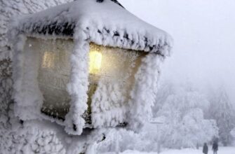 Чи можлива арктична зима в Україні: синоптикиня дала пояснення