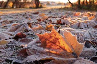 14 листопада – переддень Різдвяного посту: звичаї, прикмети та заборони дня