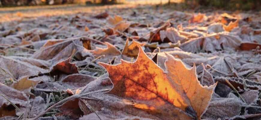14 листопада – переддень Різдвяного посту: звичаї, прикмети та заборони дня