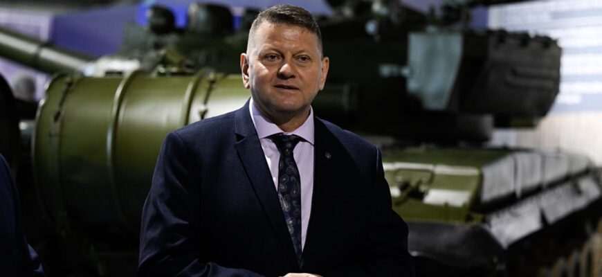 “РФ не зацікавлена в Донецькій чи Луганській областях”: Залужний назвав справжню мету Путіна