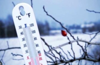 Яким буде перший місяць зими: прогноз синоптиків
