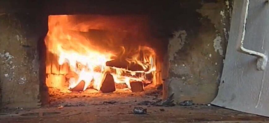 Коли ракети є, а газу немає: чому жителі Псковської області запасаються дровами