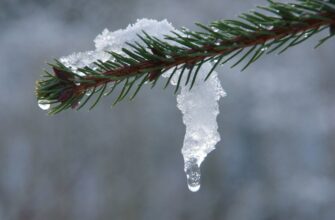 Після тріскучих морозів в Україну прийде атлантичне потепління: коли чекати на відлигу