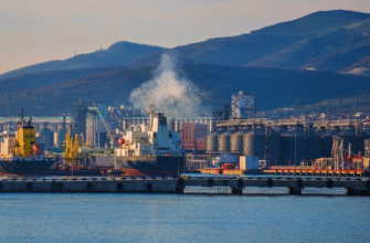 ​Українські санкції – найдієвіші: Reuters розповідає, як змінився обсяг відвантаження нафти з Новоросійська після українських ударів