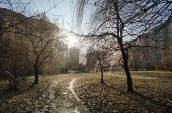 Українські синоптики змінили прогноз та назвали середню температуру зими