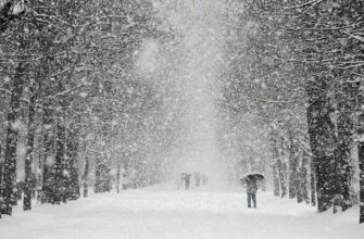 “Снігопад триватиме 12 днів, ожеледиця і негода суне в місцевість”: синоптики попередили про дощ, сніг і мороз