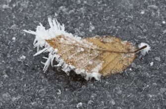 Погода на Миколи: Україна увійде у вихідні з холодом та сильним вітром