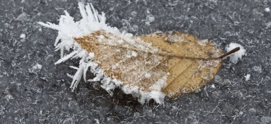 Погода на Миколи: Україна увійде у вихідні з холодом та сильним вітром