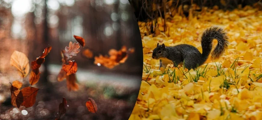 Чому 8 грудня не можна ні з ким сперечатися: яке церковне свято