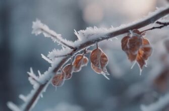 Аномальне тепло в Україні зміниться похолоданням, яке найбільше торкнеться двох регіонів