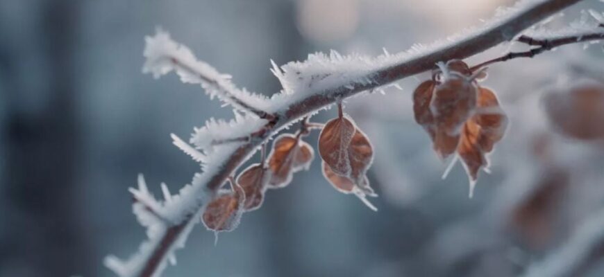 Аномальне тепло в Україні зміниться похолоданням, яке найбільше торкнеться двох регіонів