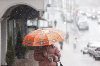 Частину України скоро замете снігом: відома дата морозної погоди