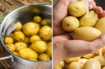 Картопля звариться вдвічі швидше: простий трюк, який знають одиниці