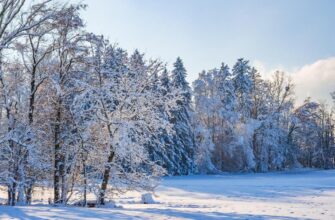 Снігопади, ожеледиця та туман: названо регіони, які накриє зимовий шторм