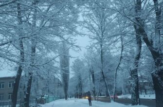 Зима різко увірвалася: Україну замітає снігом, фото та відео