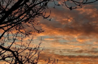 Орієнтовне похолодання з 26-го грудня не буде переконливим. Зима нас любить, – синоптикиня 