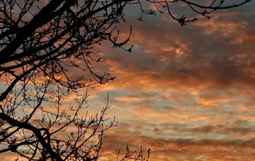 Орієнтовне похолодання з 26-го грудня не буде переконливим. Зима нас любить, – синоптикиня Орієнтовне похолодання з 26-го грудня не буде переконливим. Зима нас любить, – синоптикиня