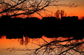 З 25-26 грудня у більшості областей України очікується похолодання, – синоптикиня