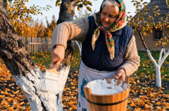 Кум розказує, що його побілка — шедевр, а кума твердить, що шкодить саду: я зібрала факти — і ось що вийшло