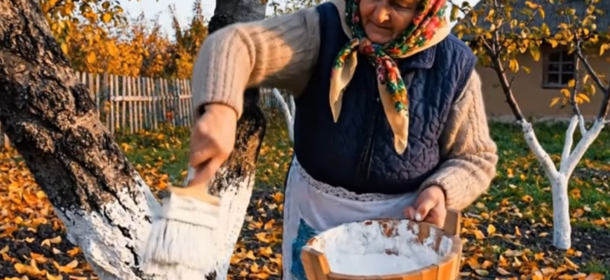 Кум розказує, що його побілка — шедевр, а кума твердить, що шкодить саду: я зібрала факти — і ось що вийшло