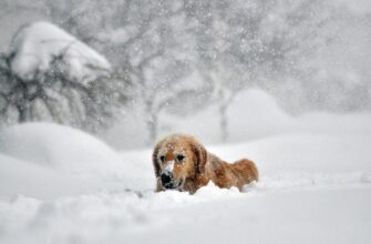 Холод повертається: синоптикиня попередила про зміну погоди найближчим часом