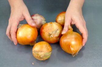 Зберігаю цибулю до літа без втрат: пересипаю цим завжди – і жодної гнилої головки за 8 місяців