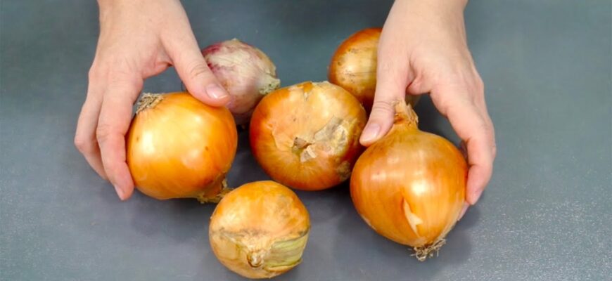 Зберігаю цибулю до літа без втрат: пересипаю цим завжди – і жодної гнилої головки за 8 місяців