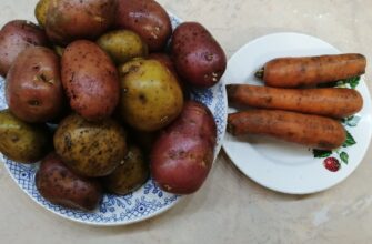 Овочі варяться за 10 хвилин, якщо додати у воду 3 ложки: секрет на Новий рік 2026, салати “кришу” за секунди