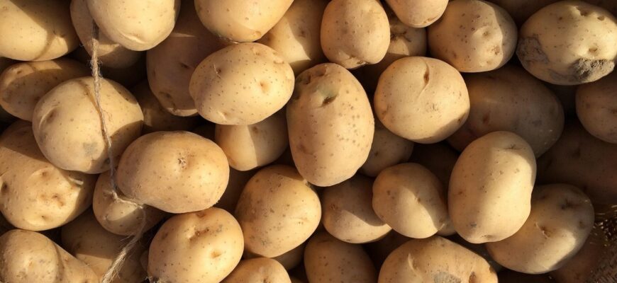 Картопля у погребі почала проростати в грудні, але дід підказав покласти в ящик 1 фрукт: тепер бульби тверді