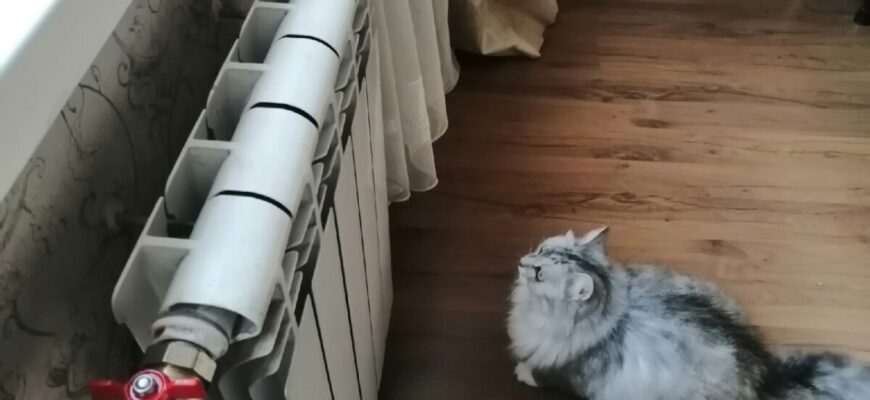 Не вірила, що батарея може гріти краще без заміни: зробила 1 дрібну дію – і кімната прогрілася за 30 хвилин