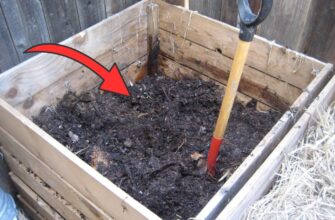 Морози вже “на носі”, отже не залишайте компост без уваги: 3 дії, які до весни зроблять з нього “золото”