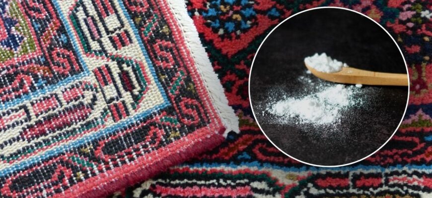 Пройшлася по килиму щіткою, змоченою у розчині з 2 ложок соди: ворс піднявся, а колір став як з хімчистки